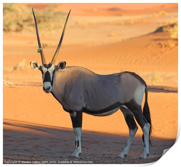 Oryx, Sossusvlei, Namibia, Africa Print by Geraint Tellem ARPS