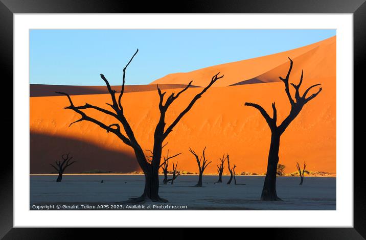 Dead Vlei desiccated trees, Sossusvlei, Namibia, Africa Framed Mounted Print by Geraint Tellem ARPS