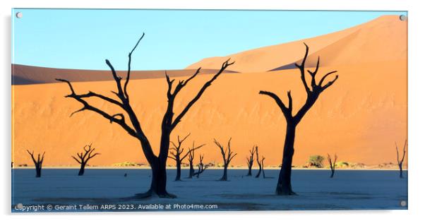 Dead Vlei desiccated trees, Sossusvlei, Namibia, Africa Acrylic by Geraint Tellem ARPS