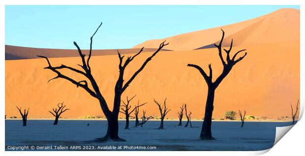 Dead Vlei desiccated trees, Sossusvlei, Namibia, Africa Print by Geraint Tellem ARPS