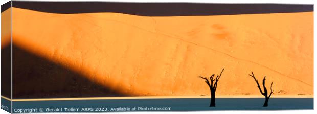 Dead Vlei desiccated trees, Sossusvlei, Namibia, Africa Canvas Print by Geraint Tellem ARPS