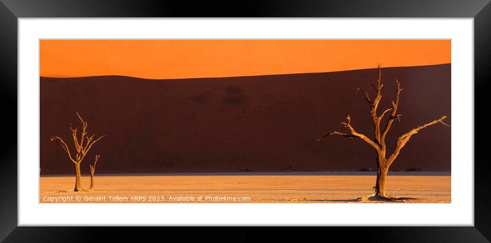 Dead Vlei desiccated trees, Sossusvlei, Namibia, Africa Framed Mounted Print by Geraint Tellem ARPS