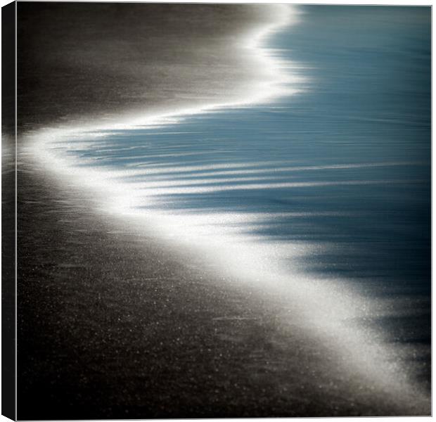 Ebb and Flow Canvas Print by Dave Bowman