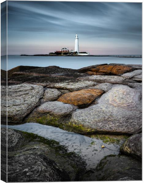 St Mary's Lighthouse Canvas Print by Dave Bowman
