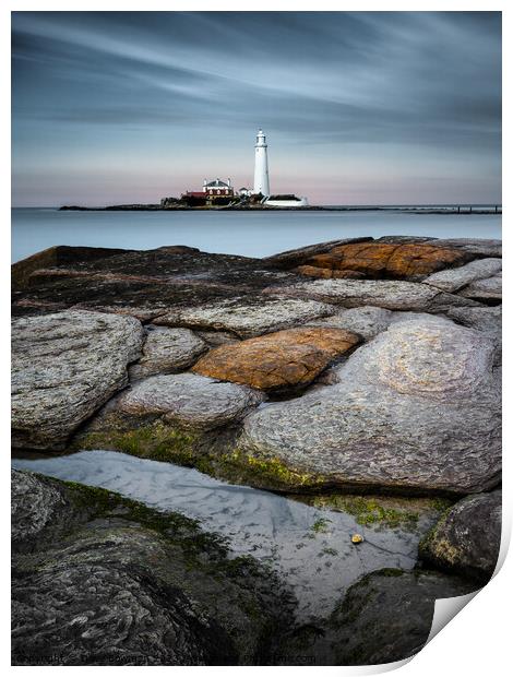 St Mary's Lighthouse Print by Dave Bowman