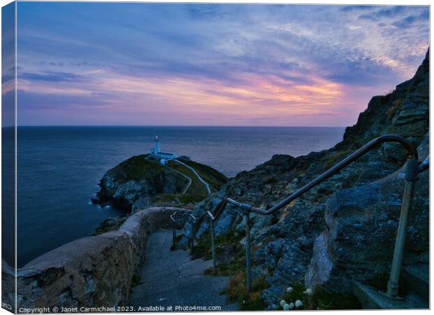 The Steps to South Stack Canvas Print by Janet Carmichael