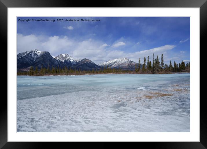 Serene Winter Wonderland on the Athabasca River Framed Mounted Print by rawshutterbug 
