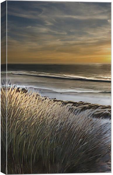 Empty beach at sunset Canvas Print by Roger Mechan