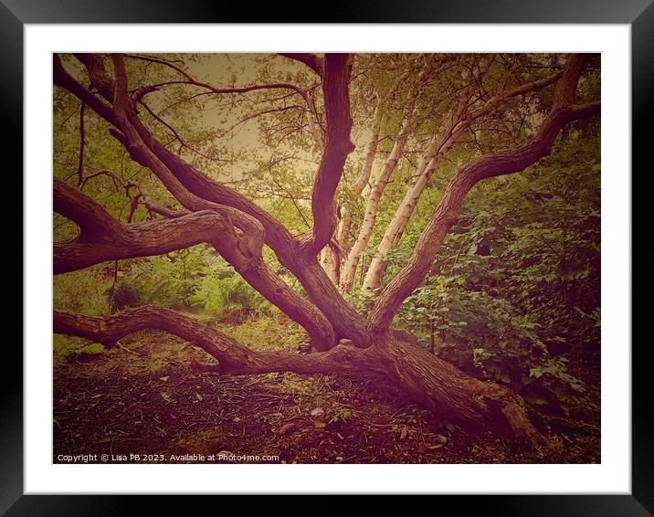 Stretching Tree Framed Mounted Print by Lisa PB