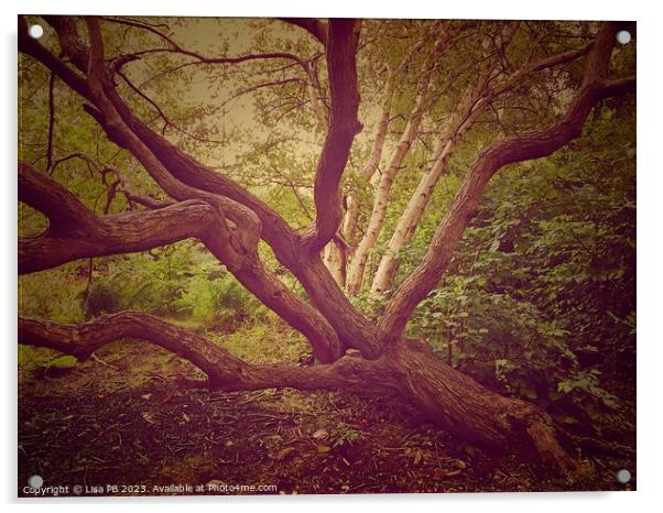 Stretching Tree Acrylic by Lisa PB