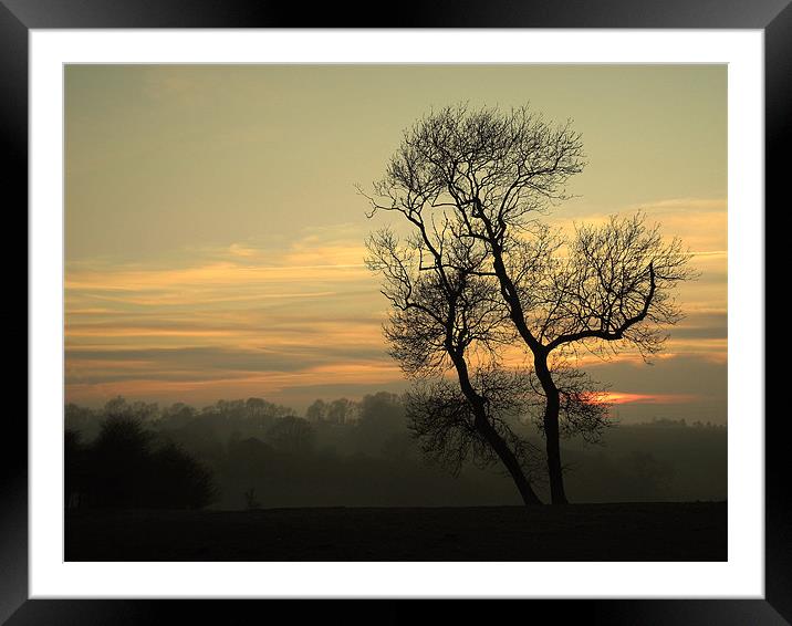 Misty Evening Framed Mounted Print by Nicky Vines