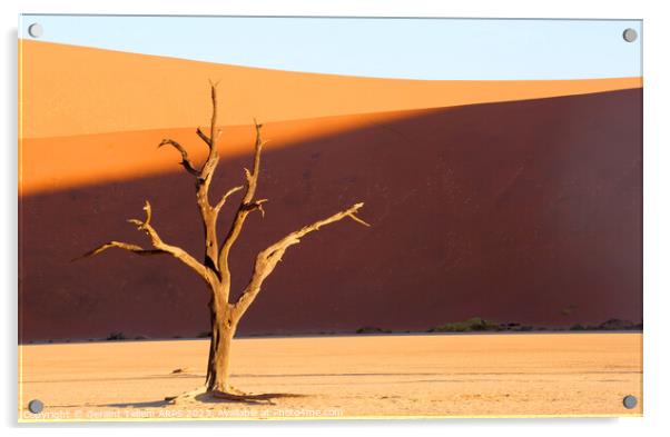 Dead Vlei, Sossusvlei, Namibia, Africa Acrylic by Geraint Tellem ARPS