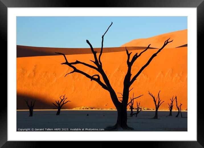 Dead Vlei, Sossusvlei, Namibia, Africa Framed Mounted Print by Geraint Tellem ARPS