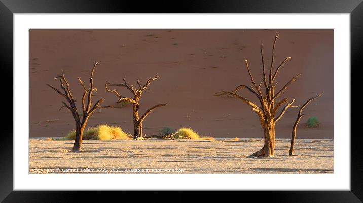 Dead Vlei, Sossusvlei, Namibia, Africa Framed Mounted Print by Geraint Tellem ARPS