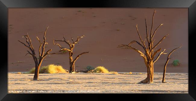 Dead Vlei, Sossusvlei, Namibia, Africa Framed Print by Geraint Tellem ARPS