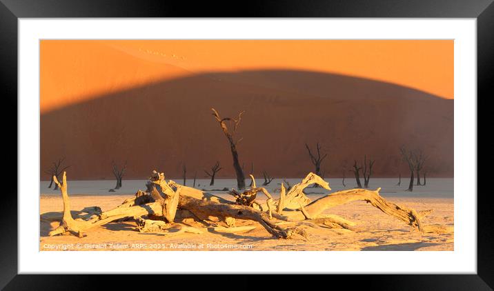 Dead Vlei, Sossusvlei, Namibia, Africa Framed Mounted Print by Geraint Tellem ARPS