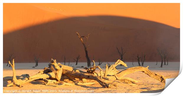 Dead Vlei, Sossusvlei, Namibia, Africa Print by Geraint Tellem ARPS