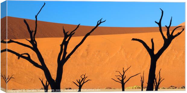 Dead Vlei, Sossusvlei, Namibia, Africa Canvas Print by Geraint Tellem ARPS