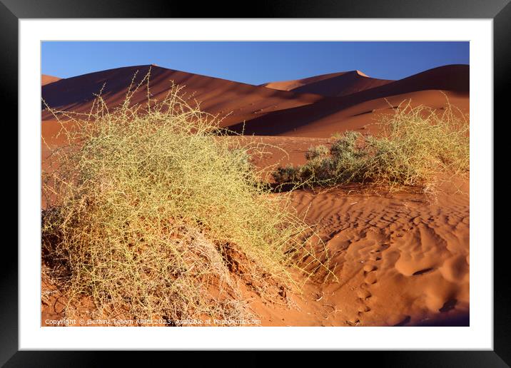 Sand dunes, Sossusvlei, Namibia, Africa Framed Mounted Print by Geraint Tellem ARPS