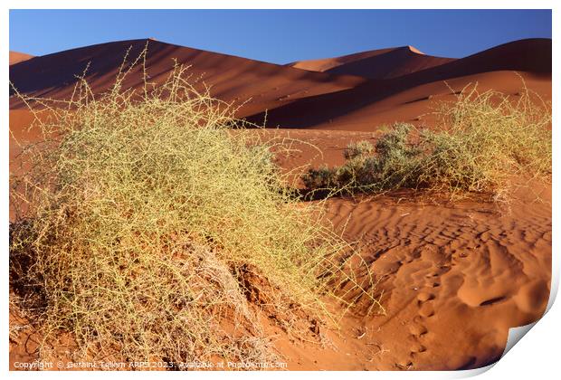 Sand dunes, Sossusvlei, Namibia, Africa Print by Geraint Tellem ARPS