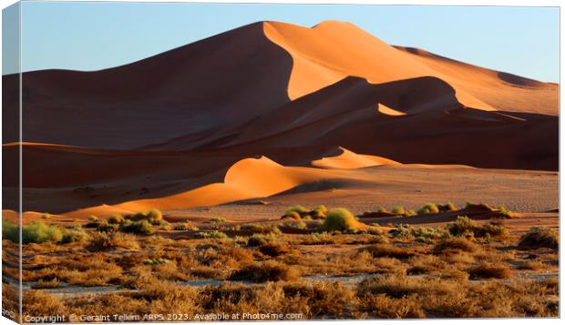 Sand dunes, Sossusvlei, Namibia, Africa Canvas Print by Geraint Tellem ARPS