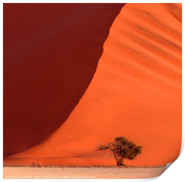 Dune 45 Sossusvlei, Namibia, Africa Print by Geraint Tellem ARPS