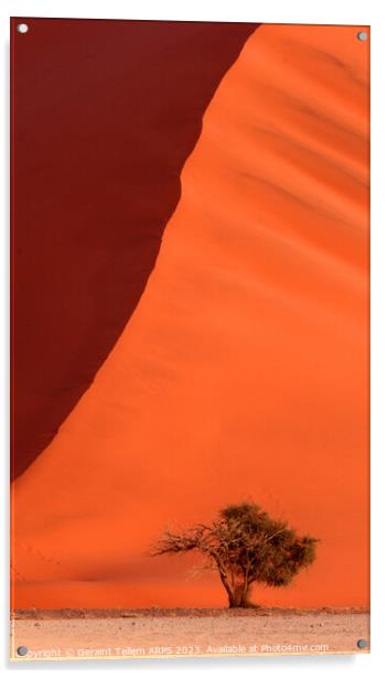 Dune 45 Sossusvlei, Namibia, Africa Acrylic by Geraint Tellem ARPS