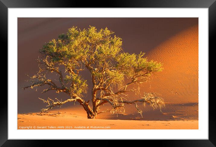 Tree, Dead Vlei, Sossusvlei, Namibia, Africa Framed Mounted Print by Geraint Tellem ARPS