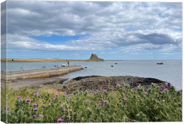 Holy Island Northumberland  Canvas Print by David Thompson