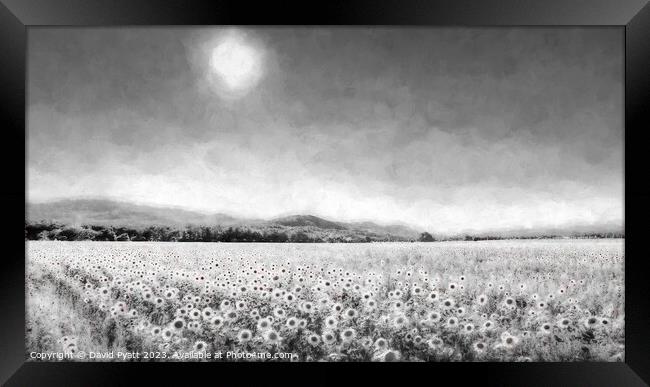 Sunflower Infrared Panorama Framed Print by David Pyatt
