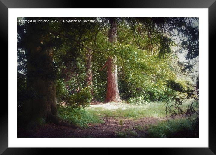 Sunlight In The Shade Framed Mounted Print by Christine Lake