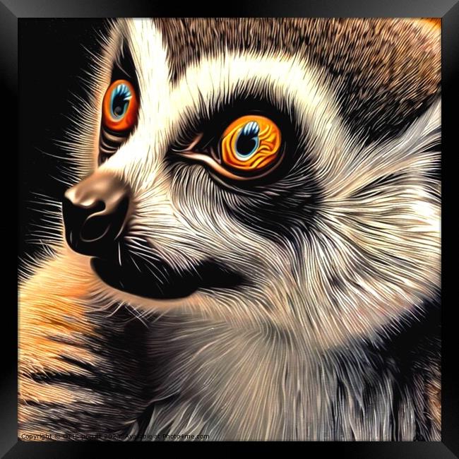 Ring-tailed lemur 6 Framed Print by OTIS PORRITT