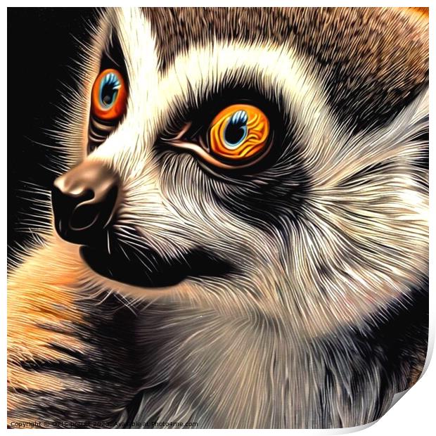 Ring-tailed lemur 6 Print by OTIS PORRITT