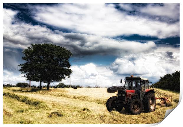 Collecting the Hay Print by Celtic Origins