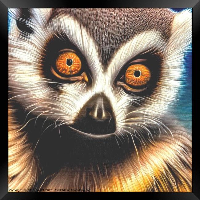 Ring-tailed lemur 8 Framed Print by OTIS PORRITT