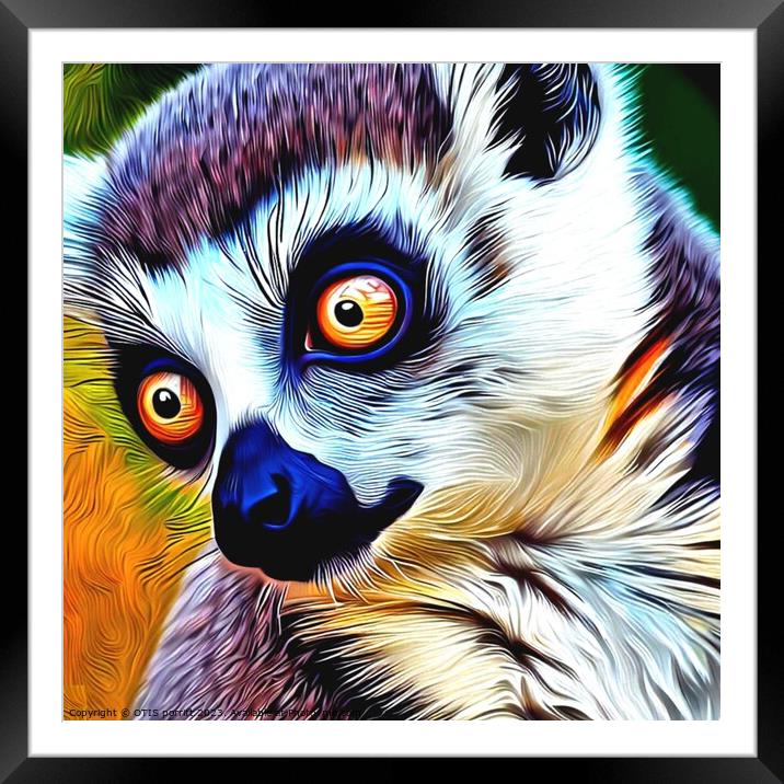 Ring-tailed lemur 9 Framed Mounted Print by OTIS PORRITT