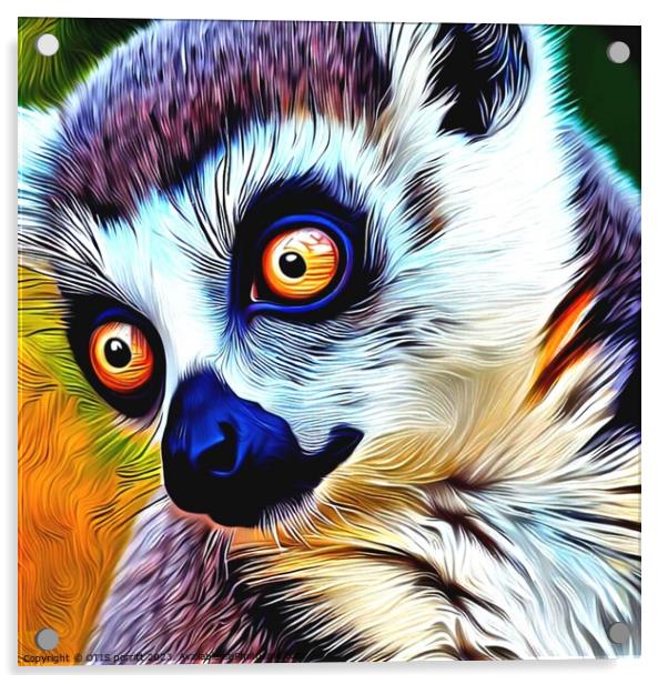 Ring-tailed lemur 9 Acrylic by OTIS PORRITT