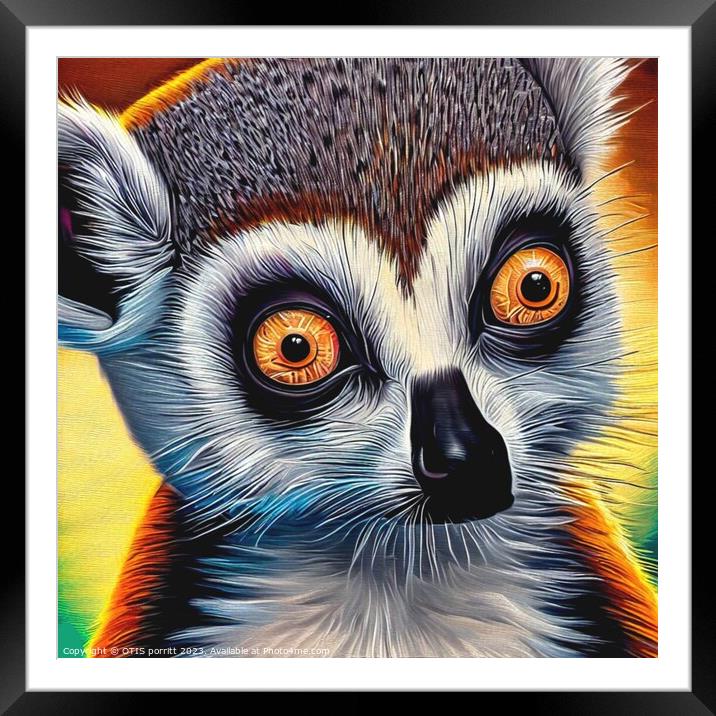 Ring-tailed lemur 11 Framed Mounted Print by OTIS PORRITT