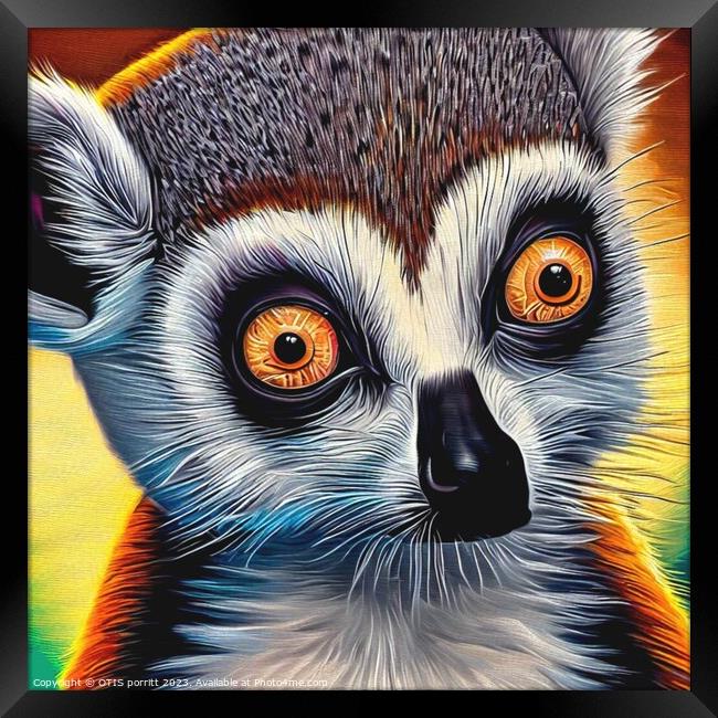 Ring-tailed lemur 11 Framed Print by OTIS PORRITT