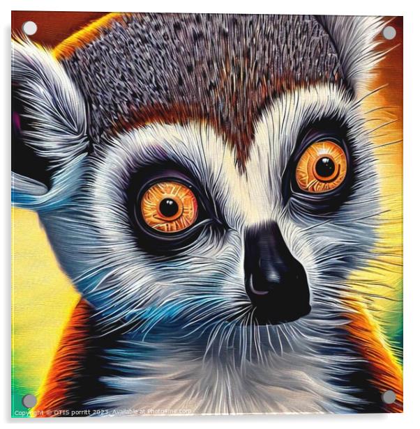 Ring-tailed lemur 11 Acrylic by OTIS PORRITT