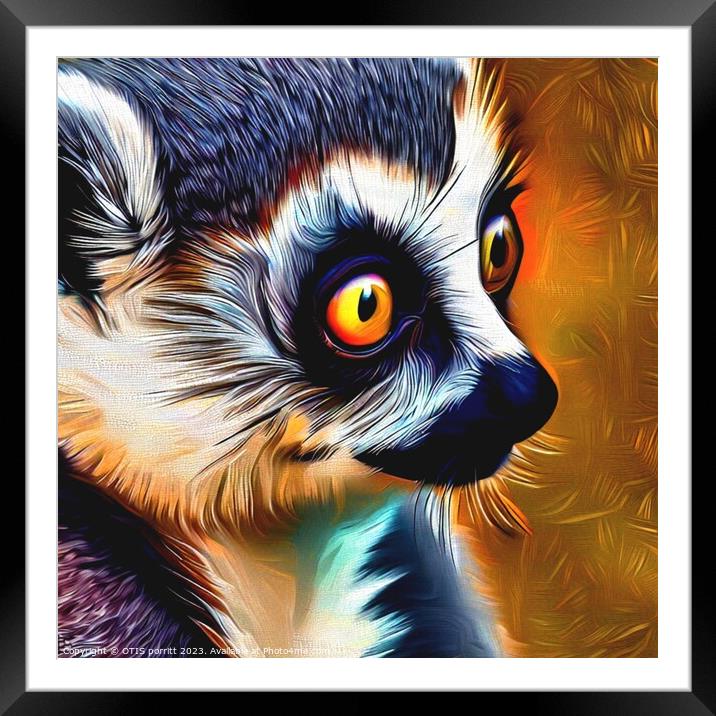 Ring-tailed lemur 12 Framed Mounted Print by OTIS PORRITT