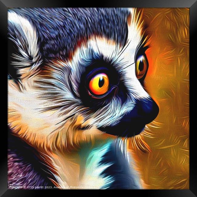 Ring-tailed lemur 12 Framed Print by OTIS PORRITT