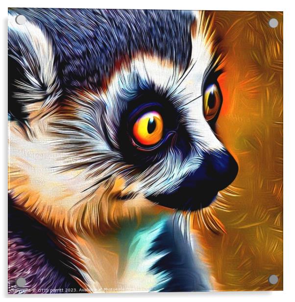 Ring-tailed lemur 12 Acrylic by OTIS PORRITT