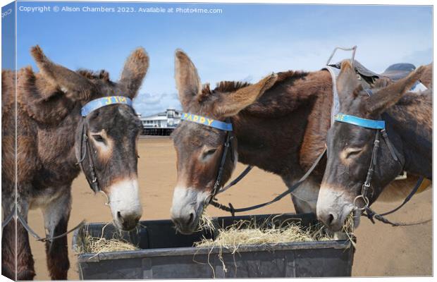 Weston super Mare Donkeys Canvas Print by Alison Chambers
