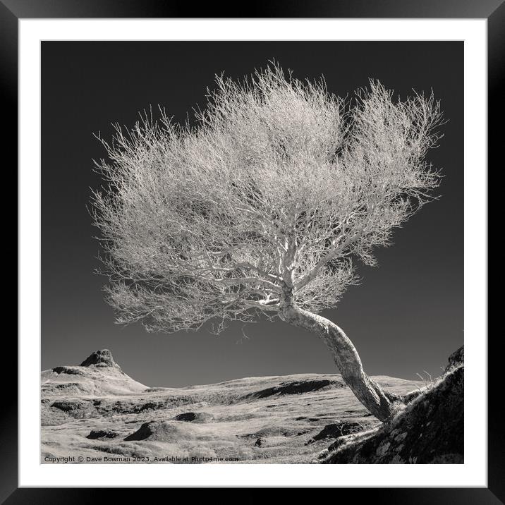 Highland Tree and Peak Framed Mounted Print by Dave Bowman