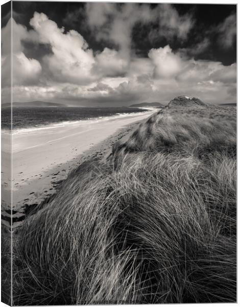 Berneray West Beach from Dunes Canvas Print by Dave Bowman