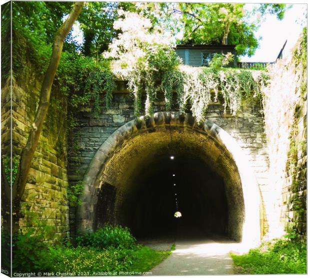 Ashbourne tunnel Canvas Print by Mark Chesters