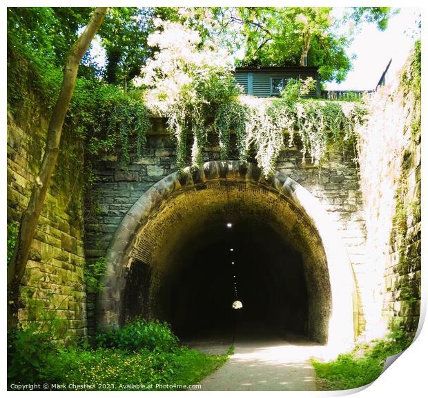 Ashbourne tunnel Print by Mark Chesters