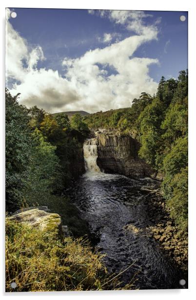 High Force Waterfall, Teesdale. Acrylic by Robert Murray