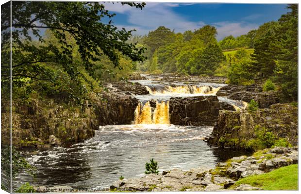 Low Force Waterfall, Teesdale. Canvas Print by Robert Murray